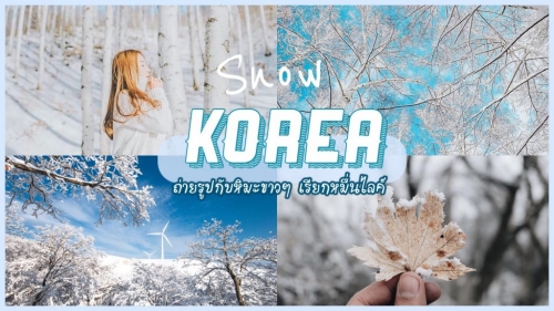 ทัวร์เกาหลี - เที่ยวเกาหลีหน้าหนาว ถ่ายรูปกับหิมะขาวๆเรียกหมื่นไลค์