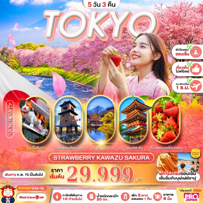 ทัวร์ญี่ปุ่น TOKYO STRAWBERRY KAWAZU SAKURA 5D3N