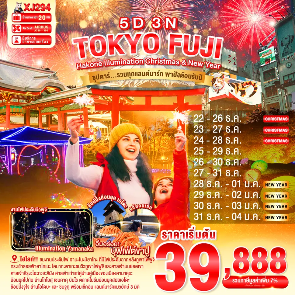 ทัวร์ญี่ปุ่น TOKYO HAKONE FUJI ILlUMINATION Christmas & New Year
