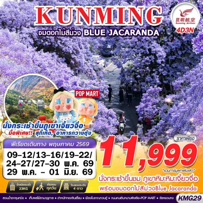 ทัวร์KUNMING ภูเขาหิมะเจี้ยวจื่อ - ดอกไม้สีม่วง Blue Jacaranda 4D3N