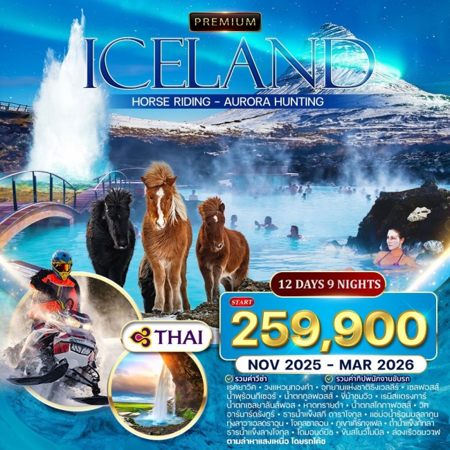 ทัวร์พรีเมี่ยมไอซ์แลนด์ ตามล่าแสงเหนือ ทัวร์พรีเมี่ยมไอซ์แลนด์ ตามล่าแสงเหนือ