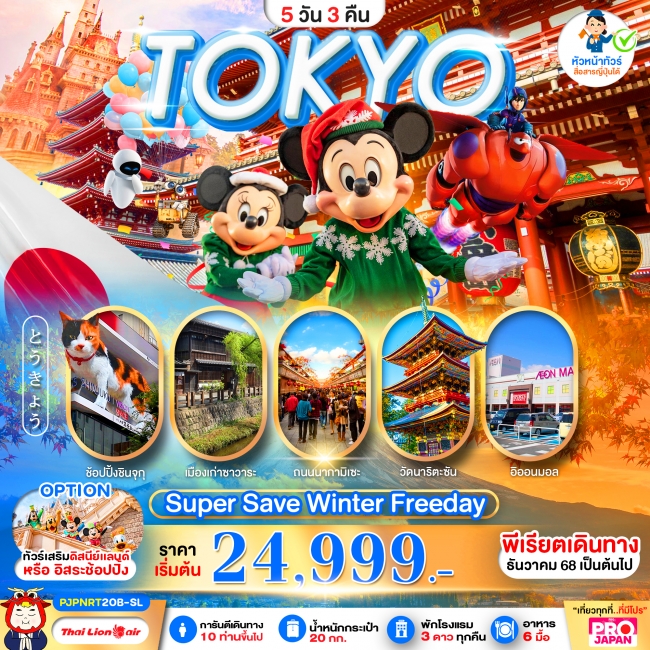 ทัวร์ญี่ปุ่น TOKYO SUPER SAVE WINTER FREE DAY 5D3N
