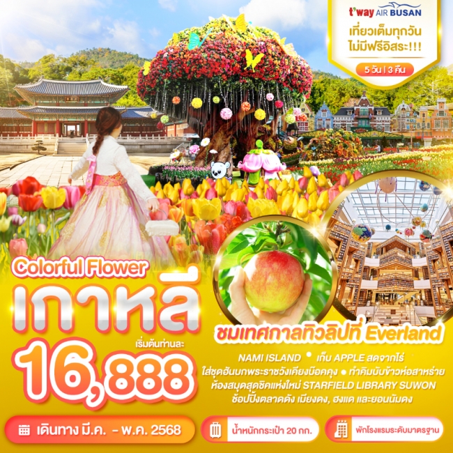 ทัวร์ เกาหลี Wonder Korea Colorful Flower ชมดอกไม้บาน