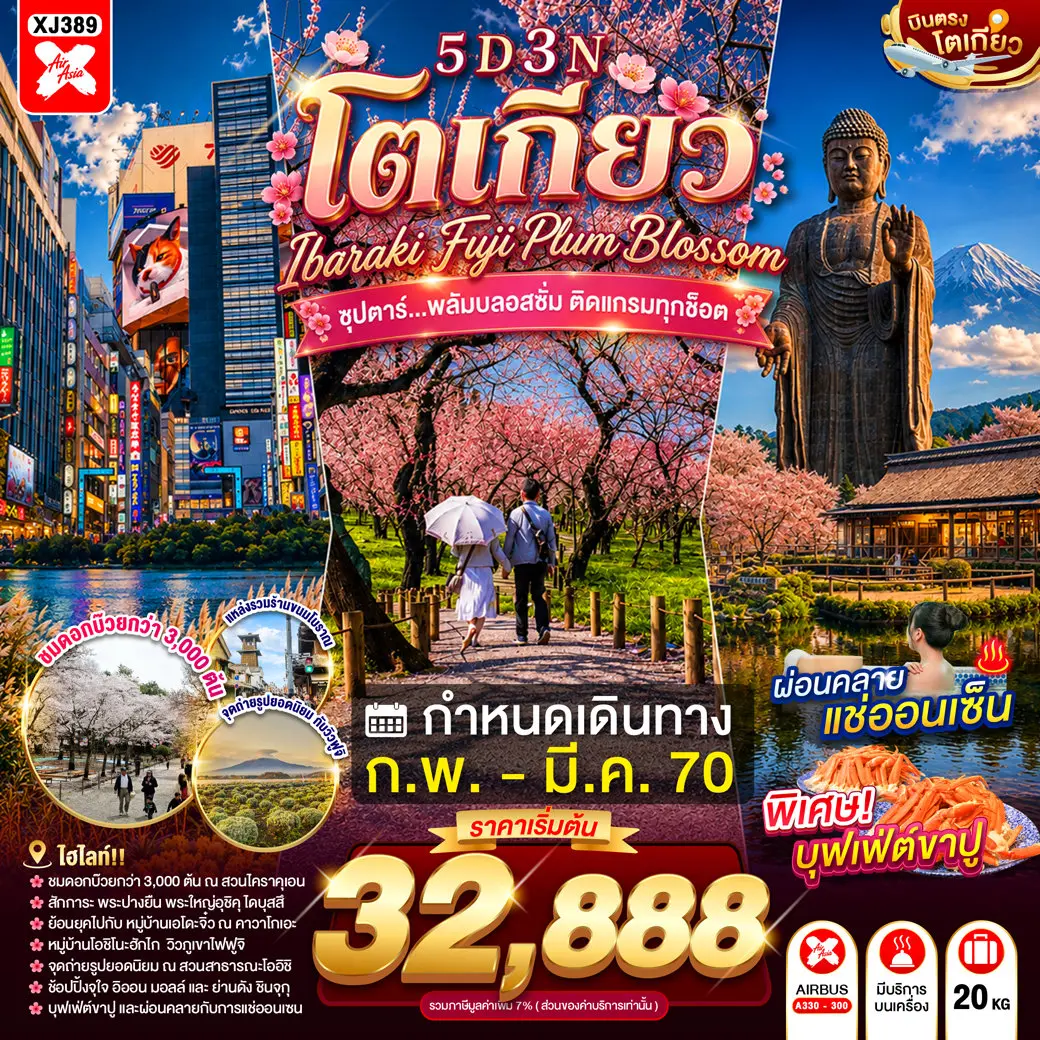 ทัวร์ญี่ปุ่นTOKYO IBARAKI FUJI PLUM BLOSSOM 5D 3N ทัวร์ญี่ปุ่นTOKYO IBARAKI FUJI PLUM BLOSSOM 5D 3N
