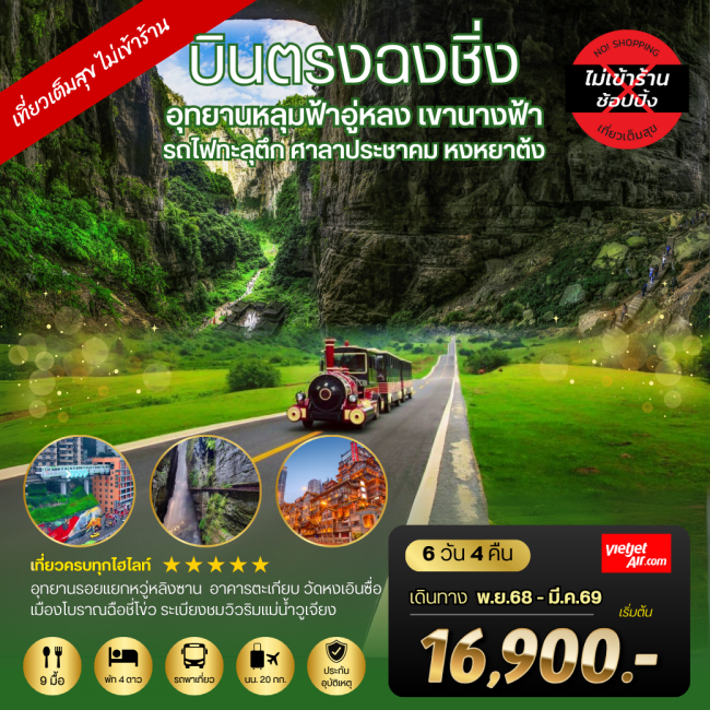 ทัวร์จีนบินตรงฉงชิ่ง อุทยานหลุมฟ้าอู่หลง เขานางฟ้า รถไฟทะลุตึก ศาลาประชาคม หงหยาต้ง *เที่ยวเต็มสุข ไ