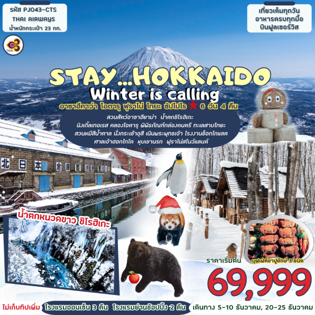 ทัวร์ญี่ปุ่นฮอกไกโด STAY...Hokkaido winter is calling 