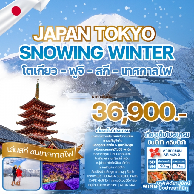 ทัวร์ญี่ปุ่น JAPAN TOKYO SNOWING WINTER