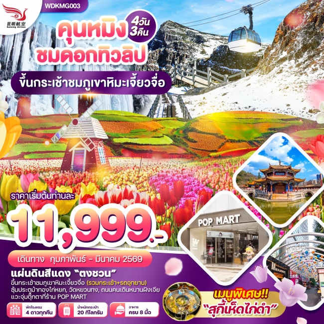 ทัวร์จีนคุนหมิง ภูเขาหิมะเจี๋ยวจื่อ แผ่นดินสีแดง ชมซากุระ 