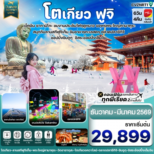 ทัวร์ญี่ปุ่น โตเกียว ฟูจิ งานประดับไฟ อิสระช้อปปิ้ง 1 วันเต็ม