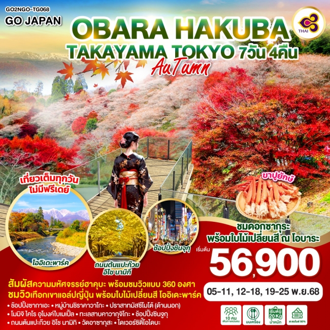 ทัวร์ญี่ปุ่น OBARA HAKUBA TAKAYAMA TOKYO AUTUMN