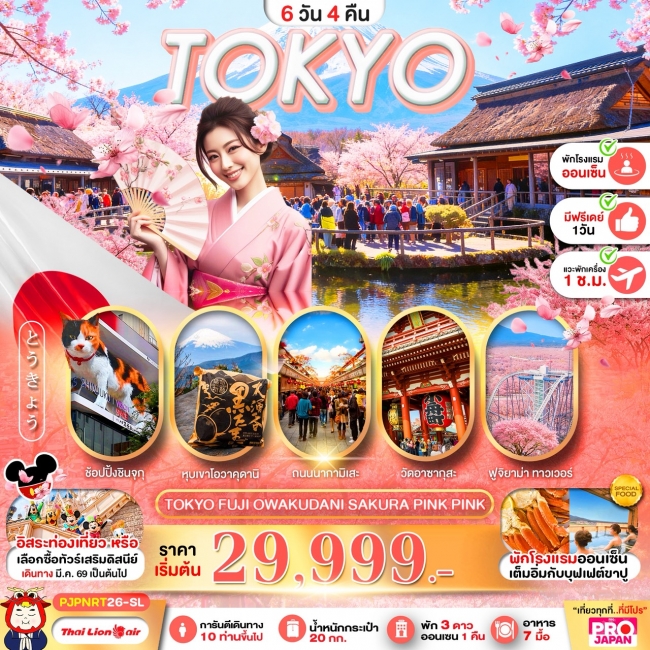 ทัวร์ญี่ปุ่น TOKYO FUJI OWAKUDANI SAKURA PINK PINK 6D4N ทัวร์ญี่ปุ่น TOKYO FUJI OWAKUDANI SAKURA PINK PINK 6D4N