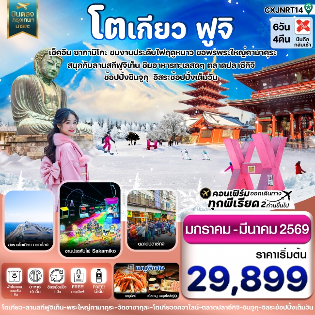 ทัวร์ญี่ปุ่น โตเกียว ฟูจิ งานประดับไฟ อิสระช้อปปิ้ง