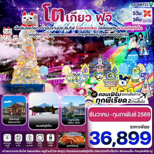 ทัวร์ญี่ปุ่นโตเกียว ฟูจิ งานประดับไฟซากามิโกะ 5วัน3คืน อิสระช้อปปิ้งเต็มวัน