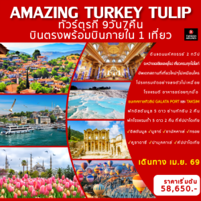 ทัวร์ตุรกี ทิวลิป 9วัน7คืน บินตรงสู่อิสตันบูลกับสายการบินเตอร์กิชแอร์ไลน์ พร้อมบินภายใน 1 เที่ยวบิ ทัวร์ตุรกี ทิวลิป 9วัน7คืน บินตรงสู่อิสตันบูลกับสายการบินเตอร์กิชแอร์ไลน์ พร้อมบินภายใน 1 เที่ยวบิ