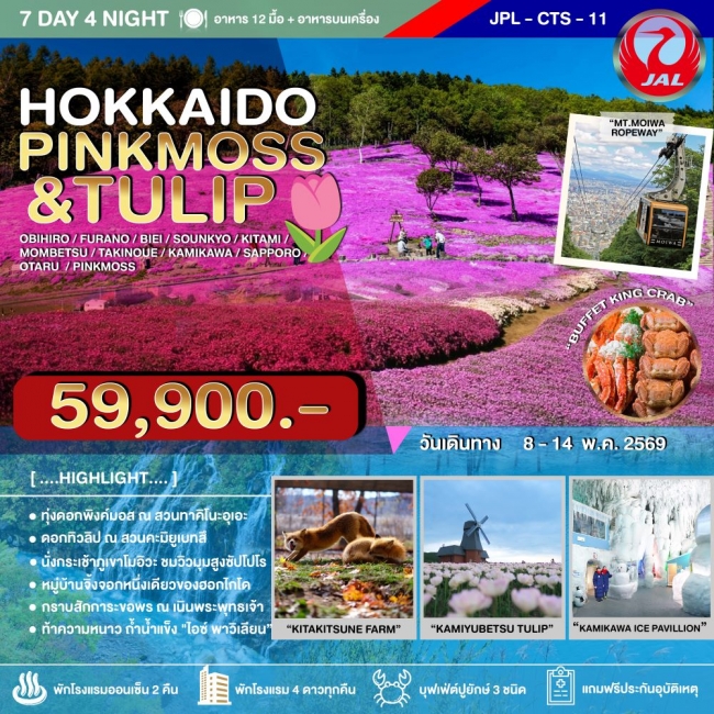 ทัวร์ญี่ปุ่น HOKKAIDO PINKMOSS_TULIP 7D4N