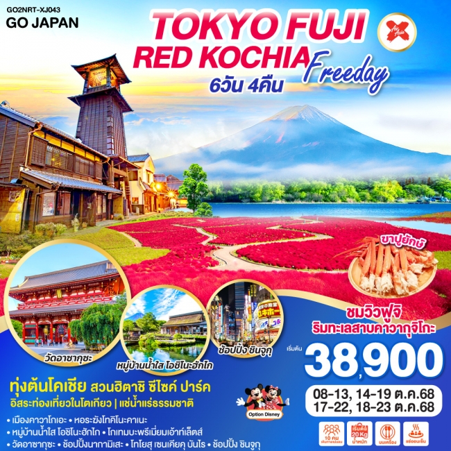 ทัวร์ญี่ปุ่น TOKYO FUJI RED KOCHIA FREEDAY