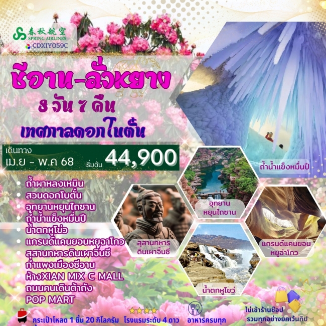 ทัวร์จีน ซีอาน - ลั่วหยาง เทศกาลดอกโบตั๋น 8วัน 7คืน