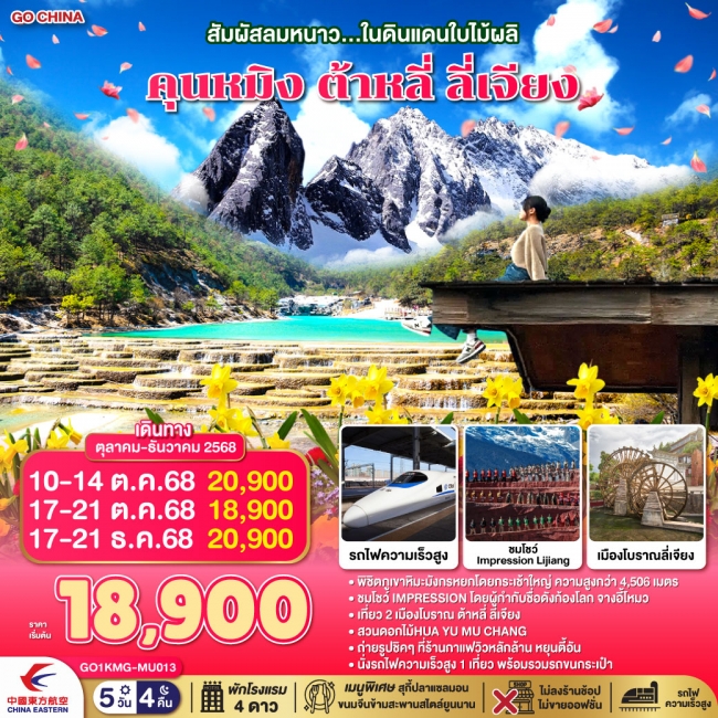 ทัวร์จีนสัมผัสลมหนาว ในดินแดนใบไม้ผลิ คุนหมิง ต้าหลี่ ลี่เจียง *ไม่ลงร้าน*