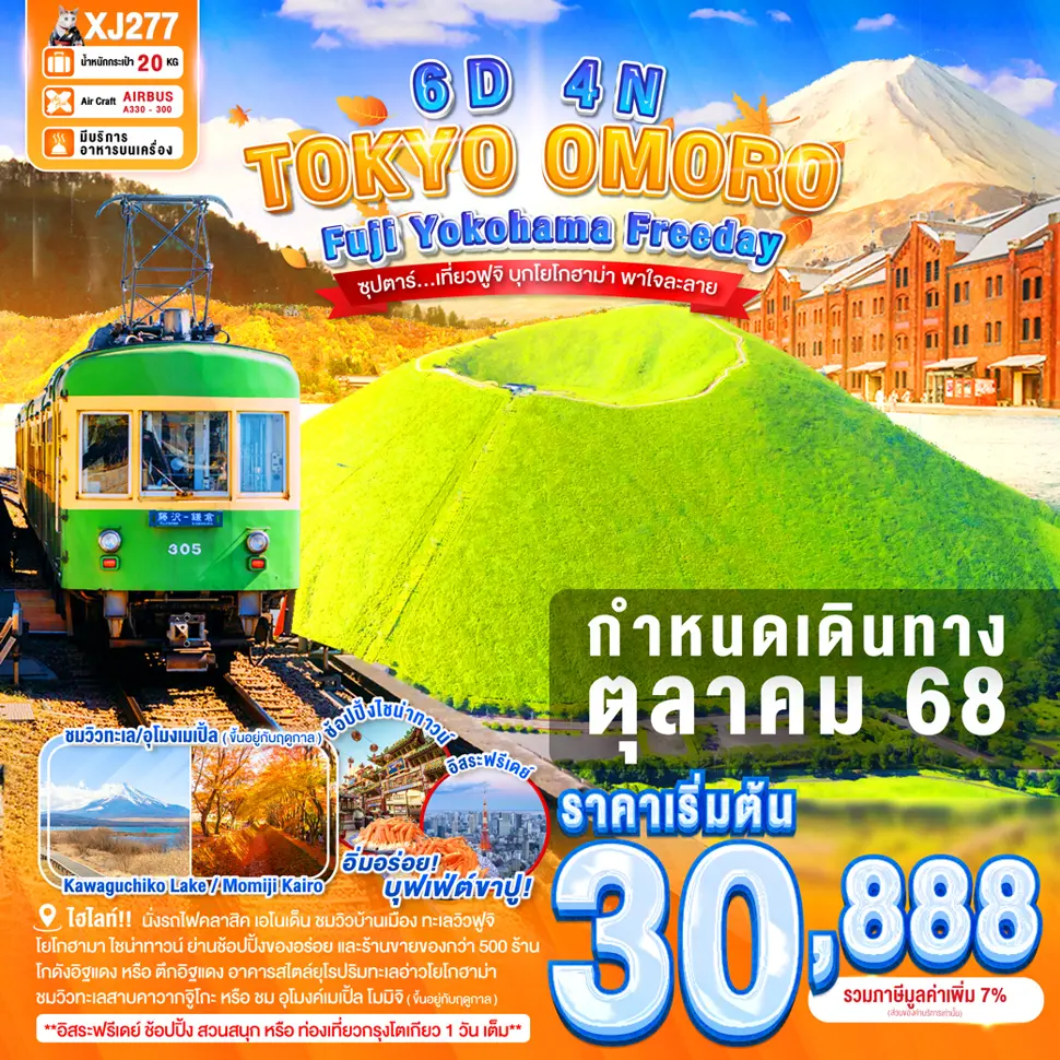ทัวร์ญี่ปุ่นTOKYO FUJI YOKOHAMA OMURO FREEDAY
