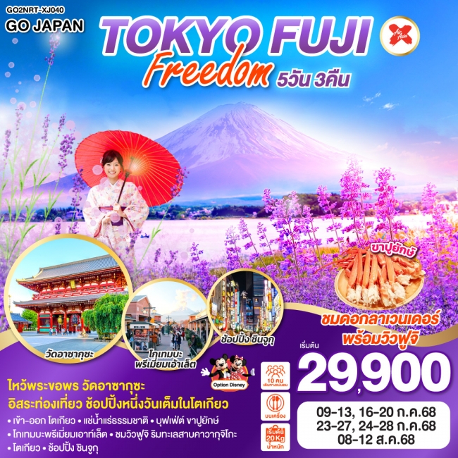 ทัวร์ญี่ปุ่น TOKYO FUJI FREEDOM
