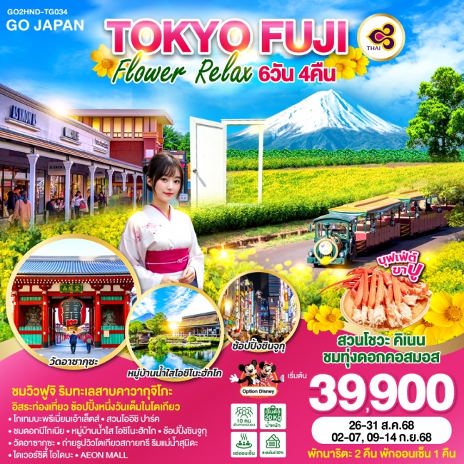 ทัวร์ญี่ปุ่น TOKYO FUJI FLOWER RELAX