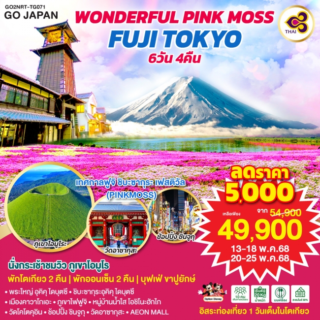 ทัวร์ ญี่ปุ่น WONDERFUL PINKMOSS FUJI TOKYO