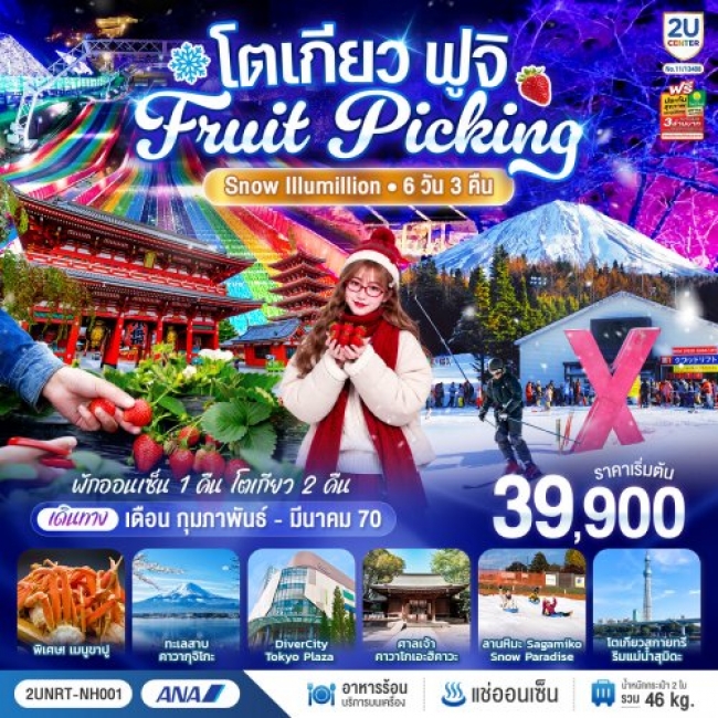 ทัวร์ญี่ปุ่น โตเกียว ฟูจิ FRUIT PICKING SNOW Illumillion 6 วัน 3 คืน