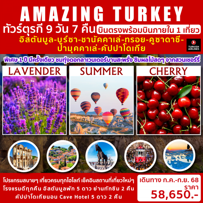 ทัวร์ตุรกี AMAZING TURKEY TULIP 