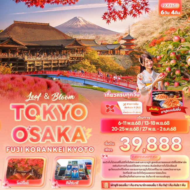  ทัวร์ญี่ปุ่นLeaf & Bloom TOKYO OSAKA FUJI KORANKEI KYOTO