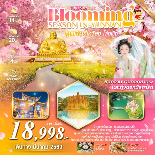 ทัวร์จีนคุนหมิง อี้เหลียง โล่วผิง 6 วัน 5 คืน (ชมซากุระ+ทุ่งดอกมัสตาร์ด)