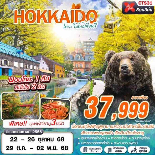 ทัวร์ญี่ปุ่น HOKAIDO โทยะ ใบไม้เปลี่ยนสี (เที่ยวเต็ม)