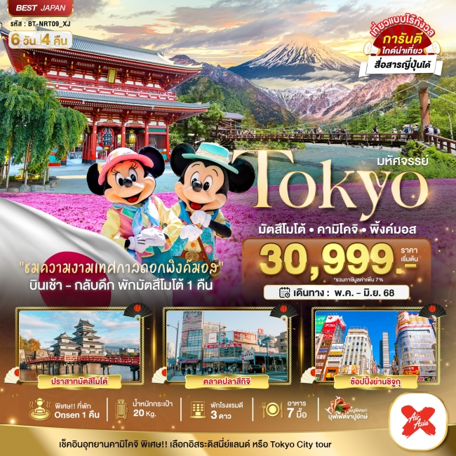 ทัวร์ญี่ปุ่น TOKYO มัตสึโมโต้ คามิโคจิ พิ้งค์มอส