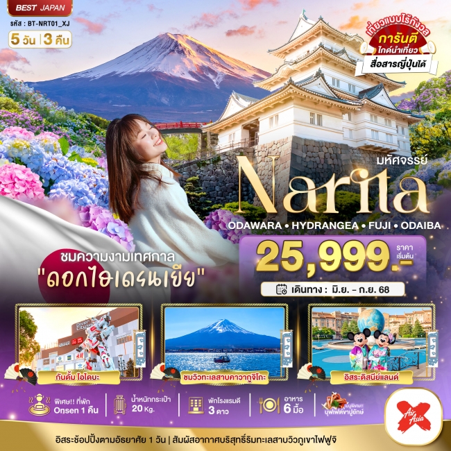 NARITA ODAWARA HYDRANGEA FUJI ODAIBA 5 วัน 3 คืน