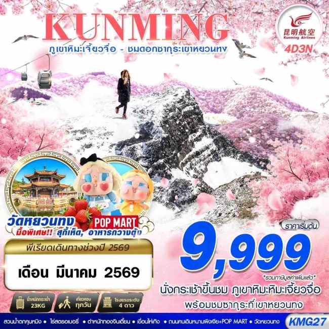 ทัวร์จีน KUNMING ภูเขาหิมะเจี้ยวจื่อ - ชมดอกซากุระเขาหยวนทง 4D3N