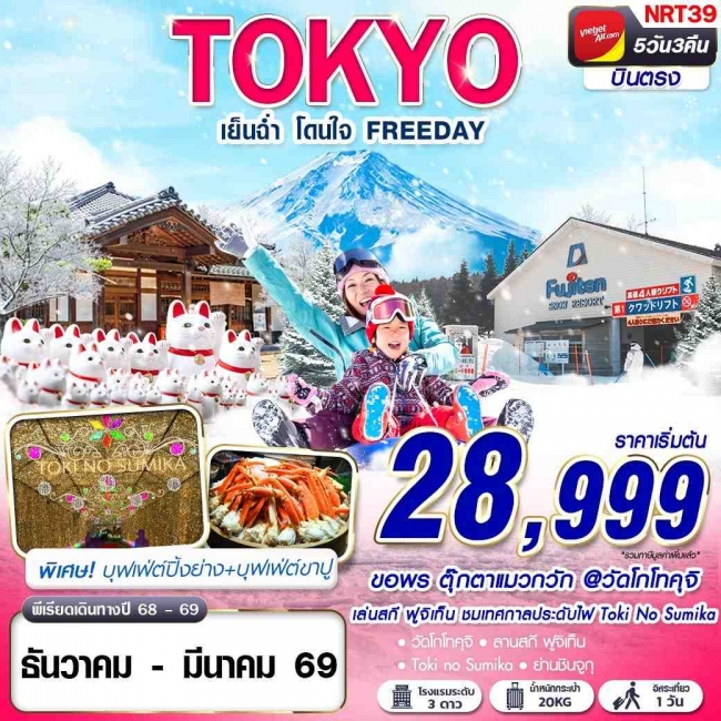 ทัวร์ญี่ปุ่น TOKYO WINTER เย็นฉ่ำ โดนใจ (ฟรีเดย์) 5D3N